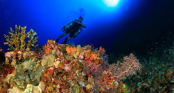 plongée sur tombant, récif corallien, plongée profonde, sidemount