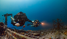 club de plongée, plonger à Bali, récif artificiel, poisson globe