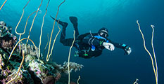 rebreather, buceo ccr, curso rebreather course, buceo profundo, especialidad profunda 